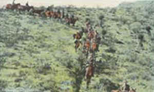 1918Views.jpg (21857 bytes)