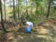 easteratsog2009014_small.jpg