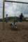 dsc00292_small.jpg