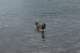 dsc00300_small.jpg